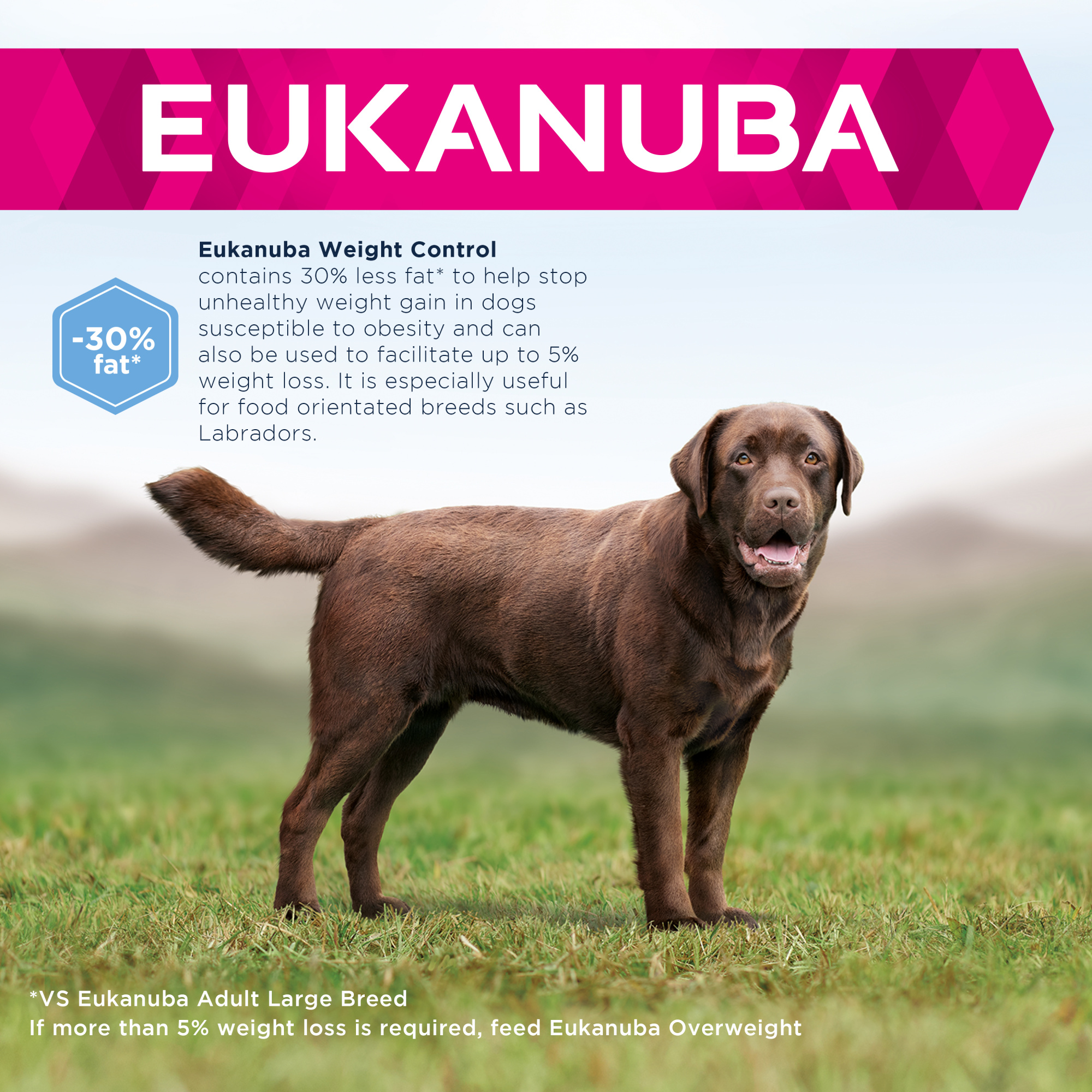 Eukanuba Daily Care Adult Large Weight Control Dry Dog Food Chicken 12kg