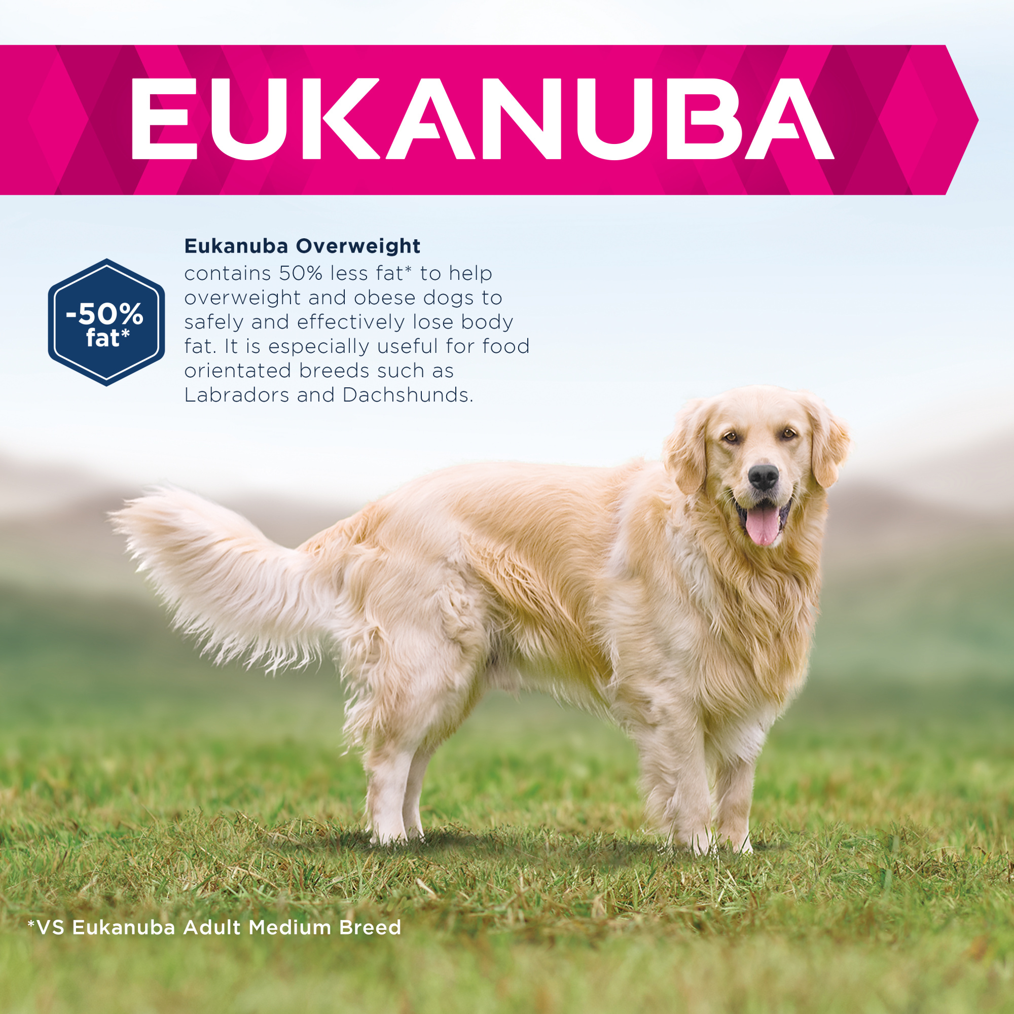 Eukanuba Daily Care Adult Overweight Dry Dog Food Chicken 12kg