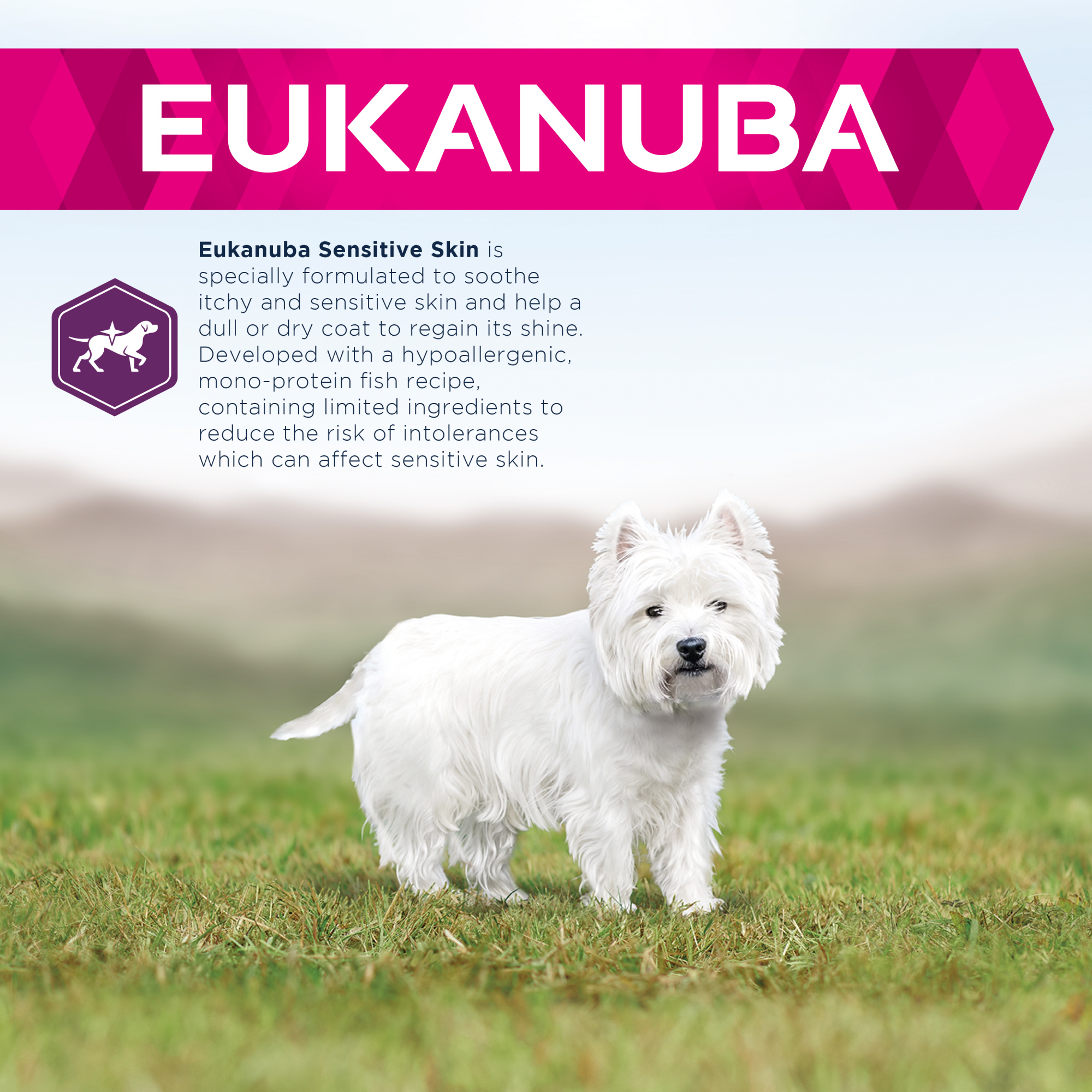 Eukanuba Daily Care Adult Sensitive Skin Dry Dog Food Fish 12kg