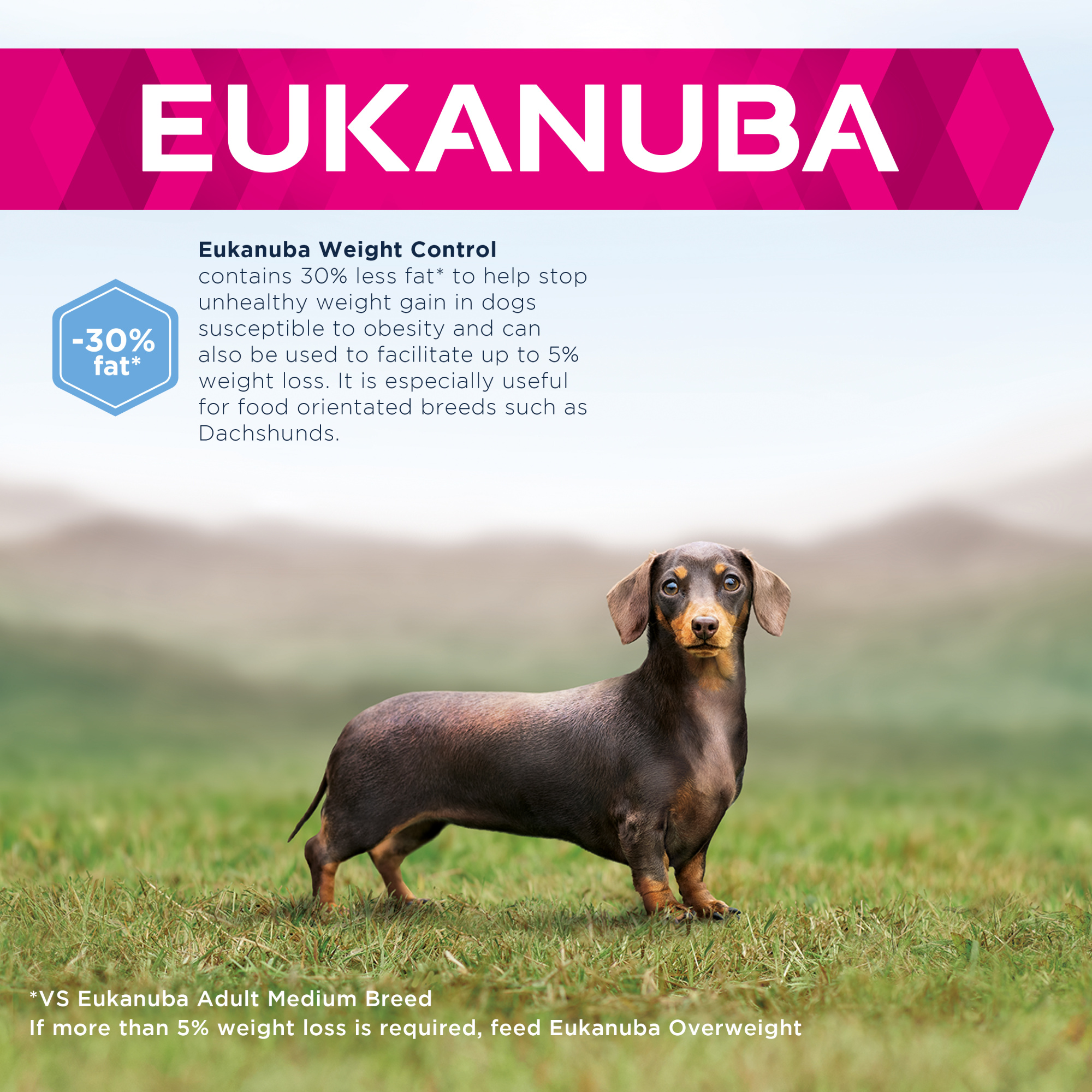 Eukanuba Daily Care Adult Small Medium Weight Control Dry Dog Food Chicken 12kg