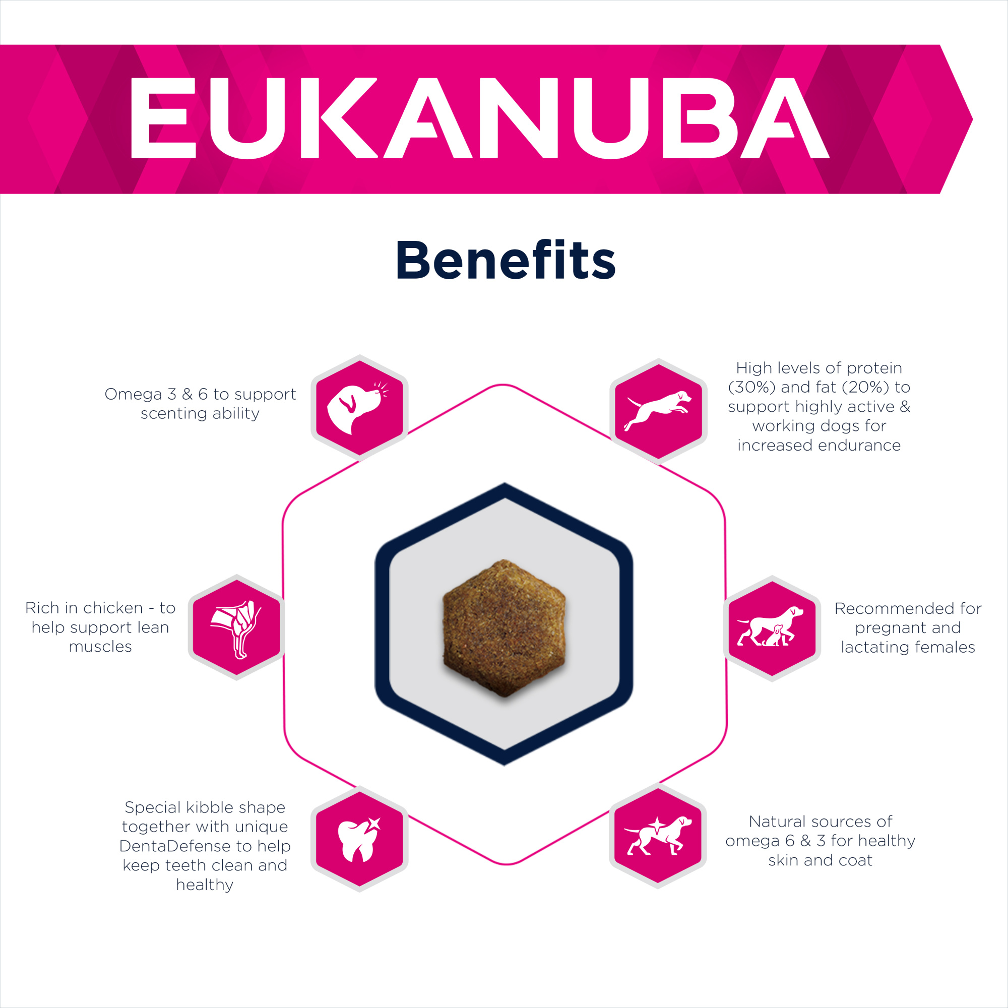 Eukanuba Daily Care Adult Working & Endurance Dry Dog Food Chicken 15kg