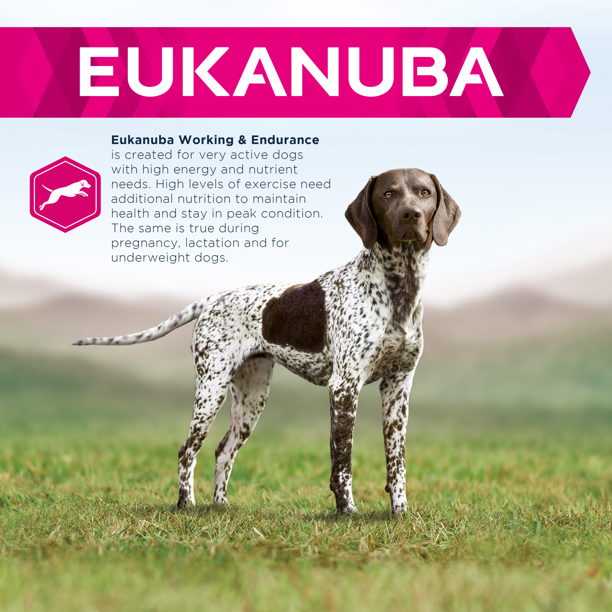 Eukanuba Daily Care Adult Working & Endurance Dry Dog Food Chicken 15kg