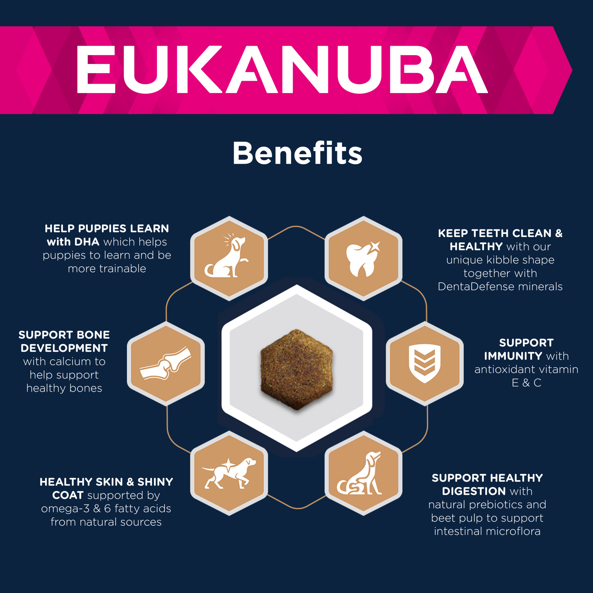 Eukanuba Developing Junior Large Breed Chicken 12k