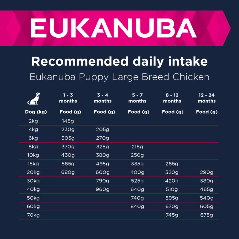 Eukanuba Growing Puppy Large Breed Rich in Fresh Chicken