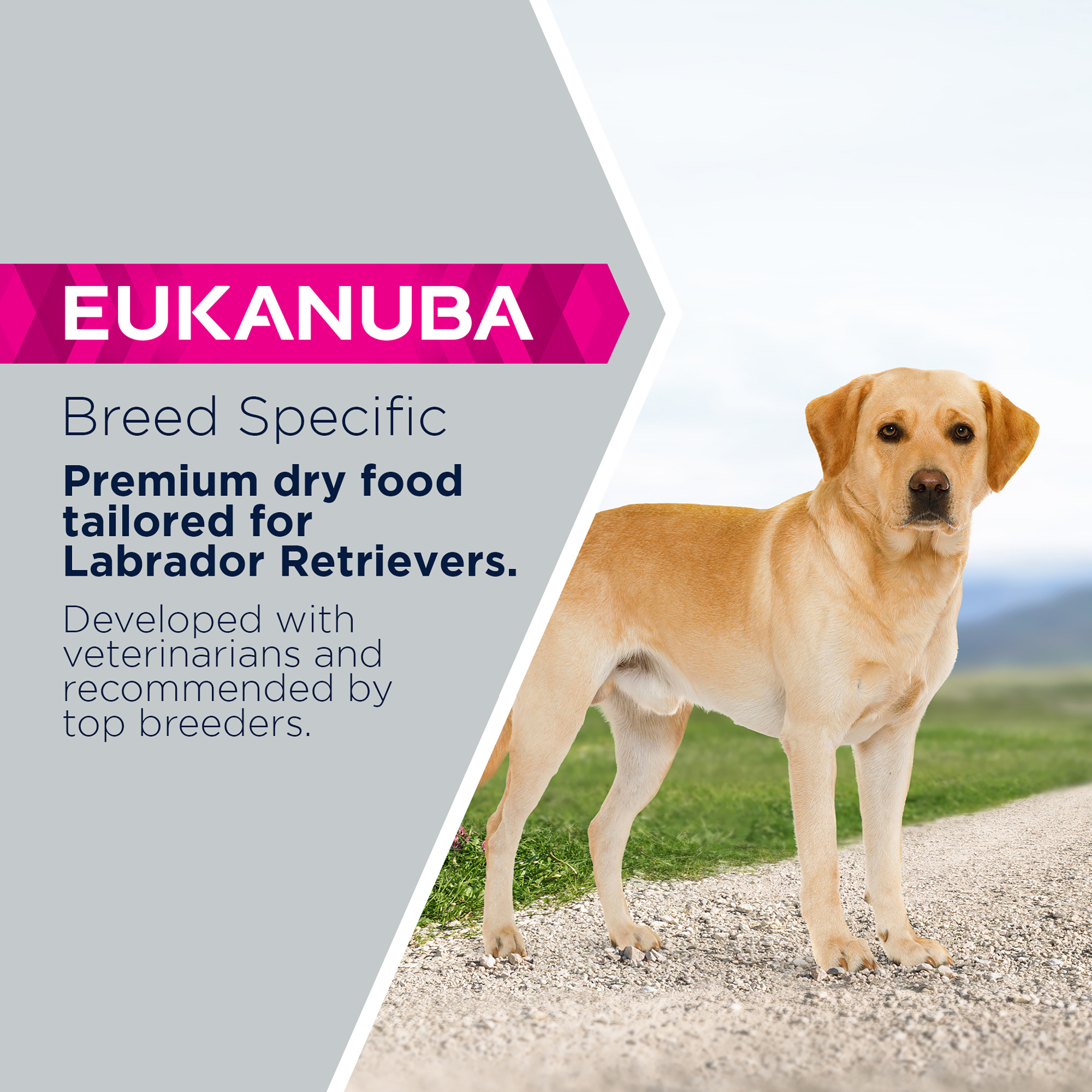 Eukanuba Labrador Retriever Dry Dog Food Chicken 12kg