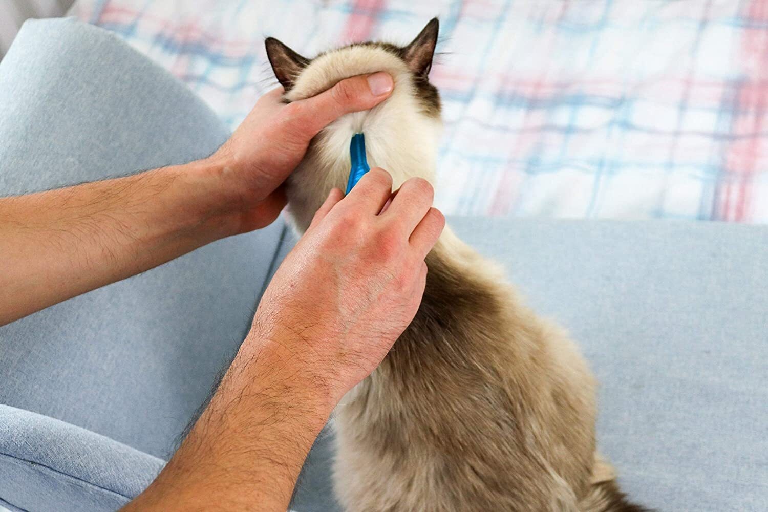 FRONTLINE SPOT ON Flea & Tick Treatment Cat 