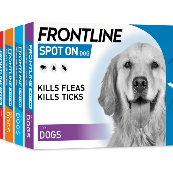 FRONTLINE® SPOT ON Flea Tick Treatment Dog - Main Image
