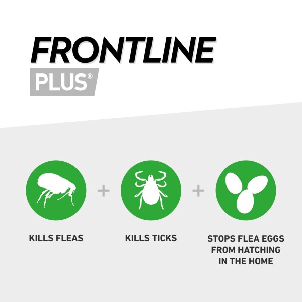 FRONTLINE PLUS® Flea Tick Treatment for Dogs - Main Image
