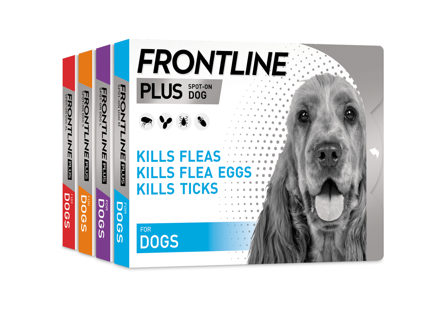 FRONTLINE PLUS Flea & Tick Treatment for Dogs 