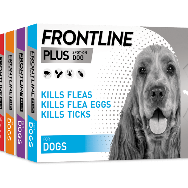 Small Dogs Amazon Flea And Tick Medicine For Dogs FRONTLINE