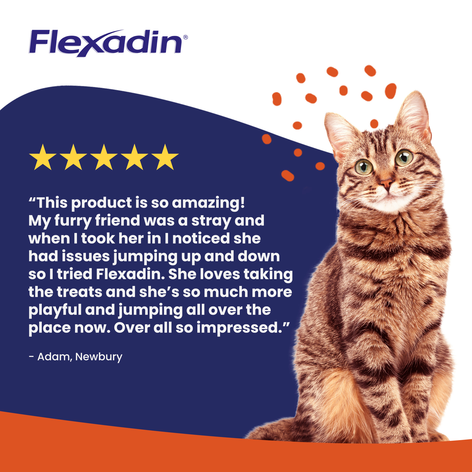 Flexadin Joint Care for Cats 