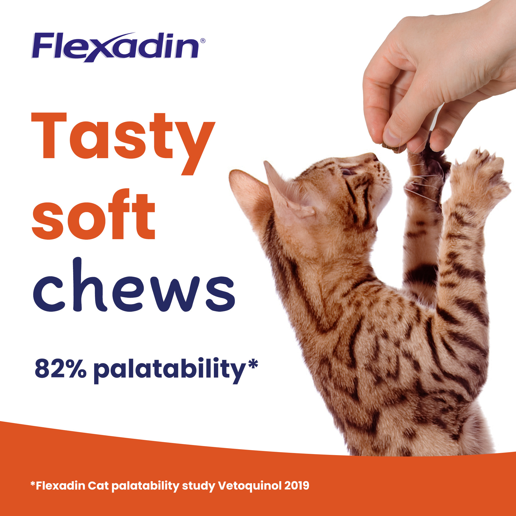 Flexadin Joint Care for Cats 