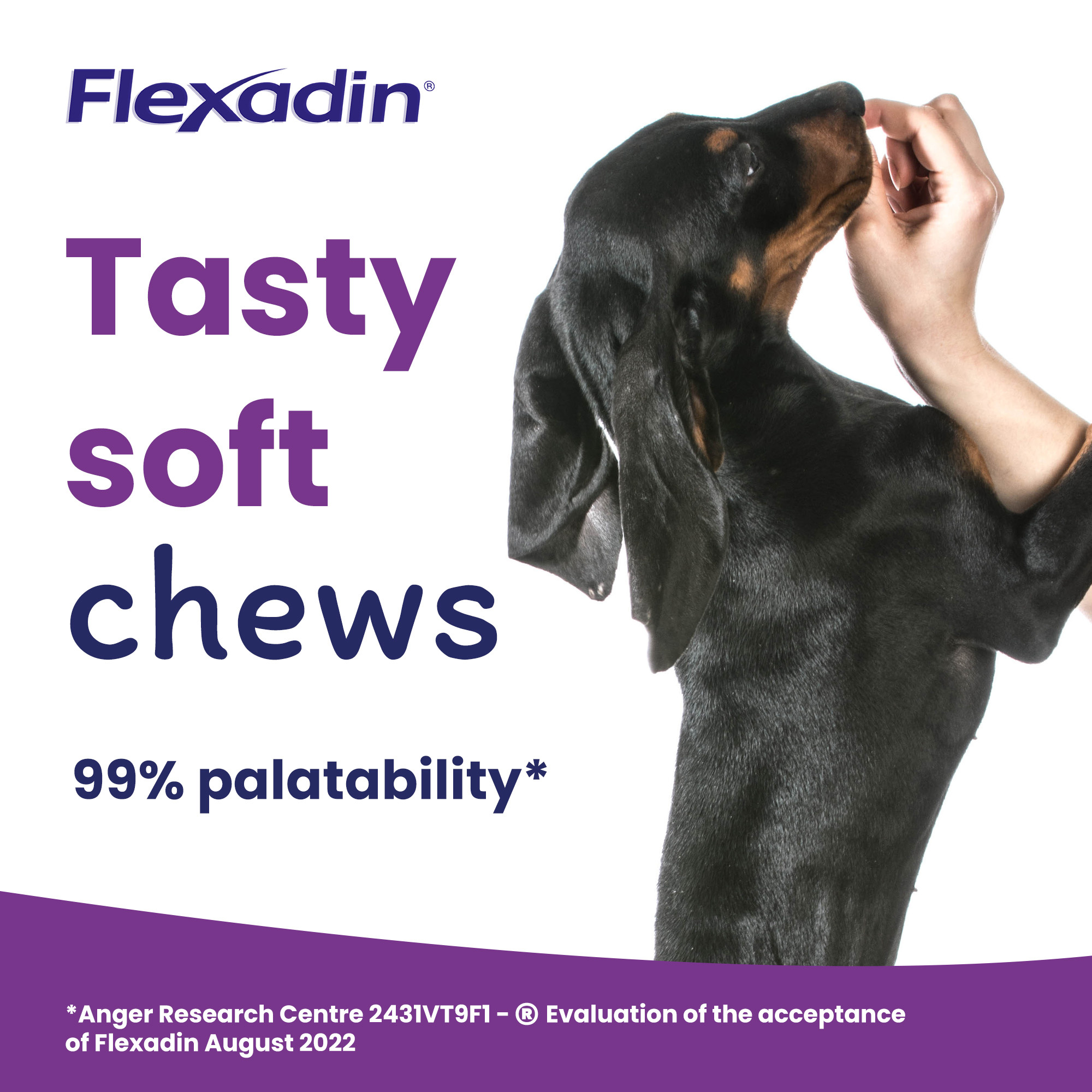 Flexadin UC-II Joint Care for Dogs 