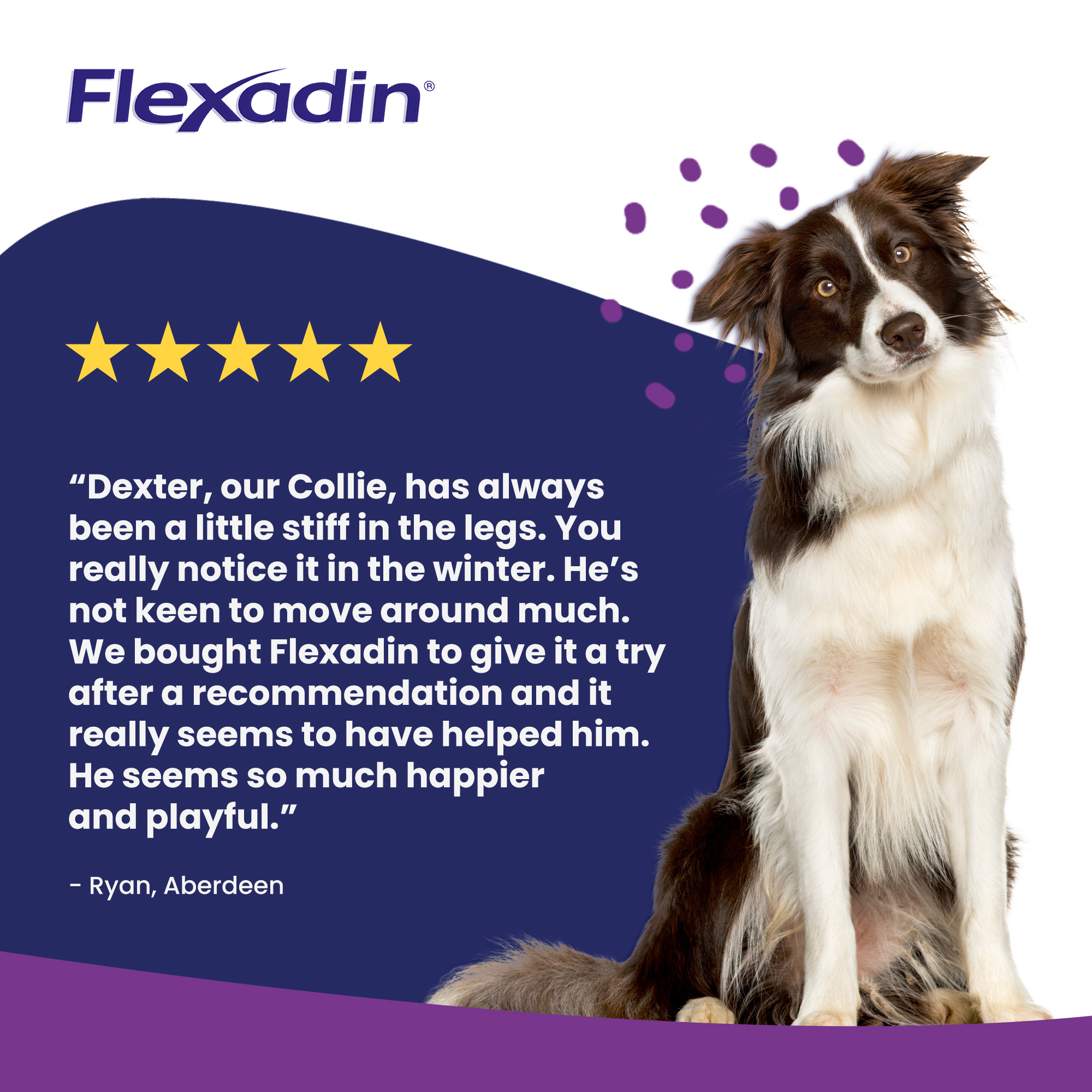 Flexadin UC-II Joint Care for Dogs 