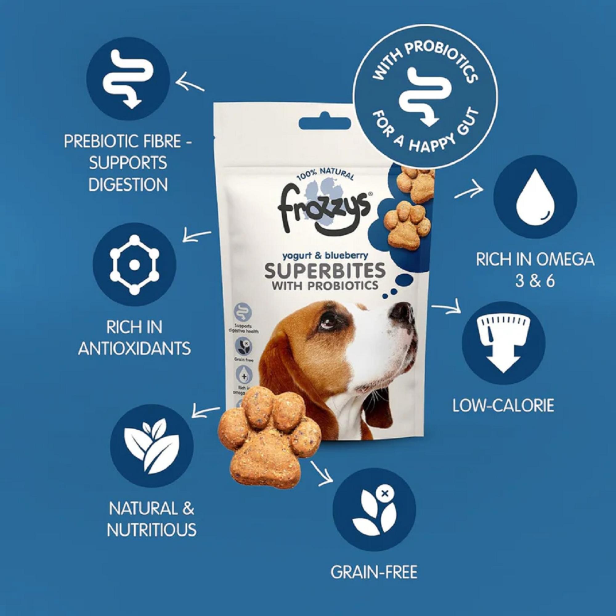 Frozzys Superbites with Probiotics Yogurt & Blueberry