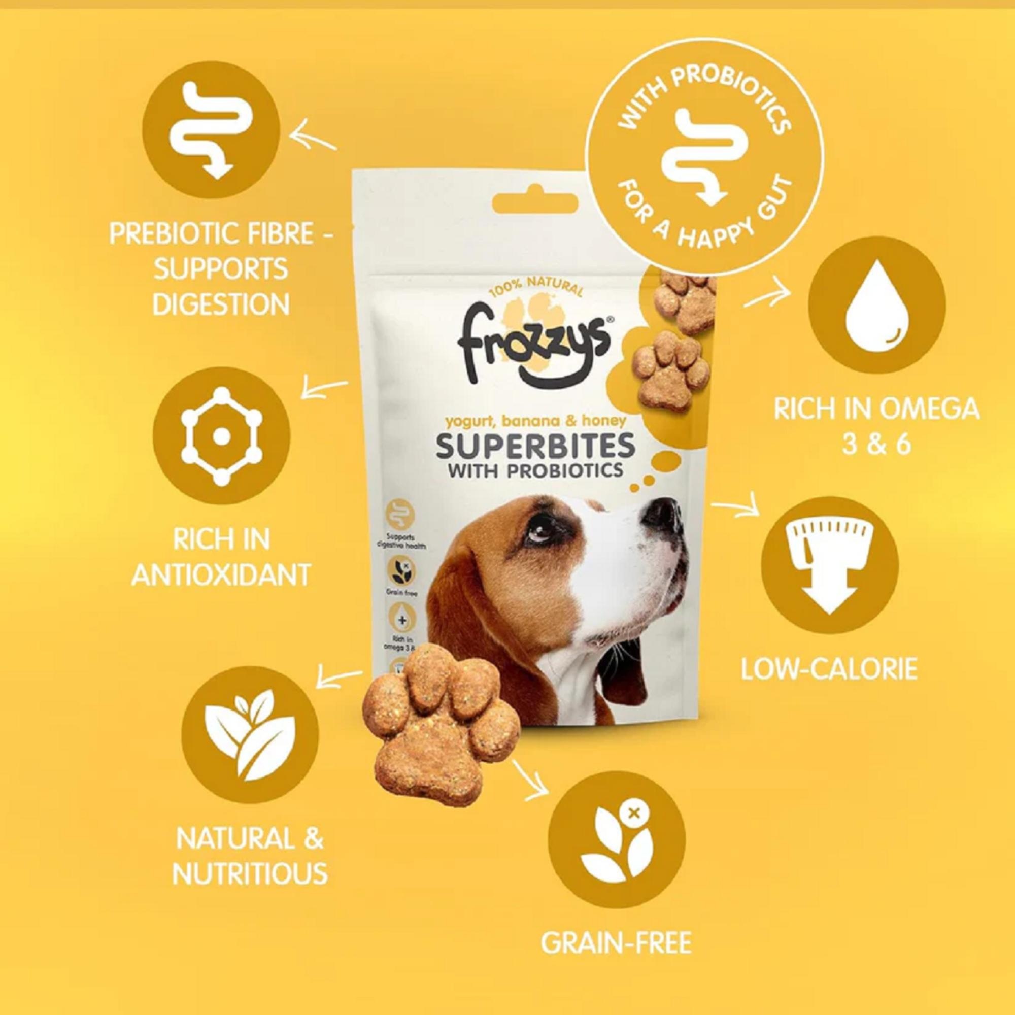 Frozzys Superbites with Probiotics Yogurt Banana & Honey
