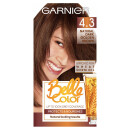  Garnier Belle Colour 4.3 Natural Dark Golden Brown Hair Dye