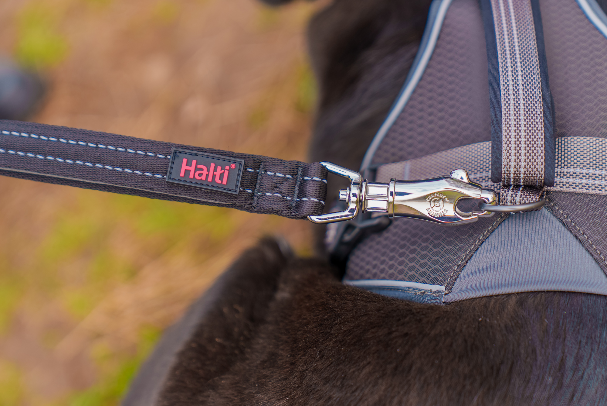 Halti BRIG Safety Lead Large 