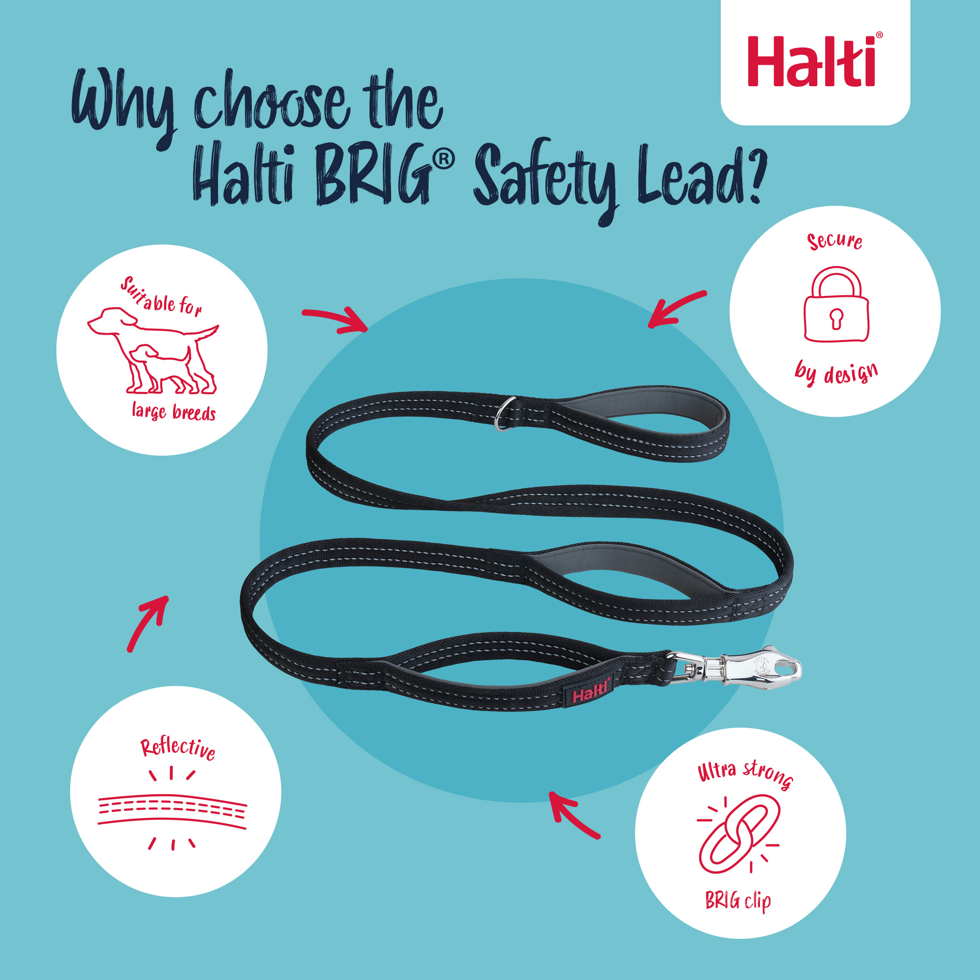Halti BRIG Safety Lead Large 