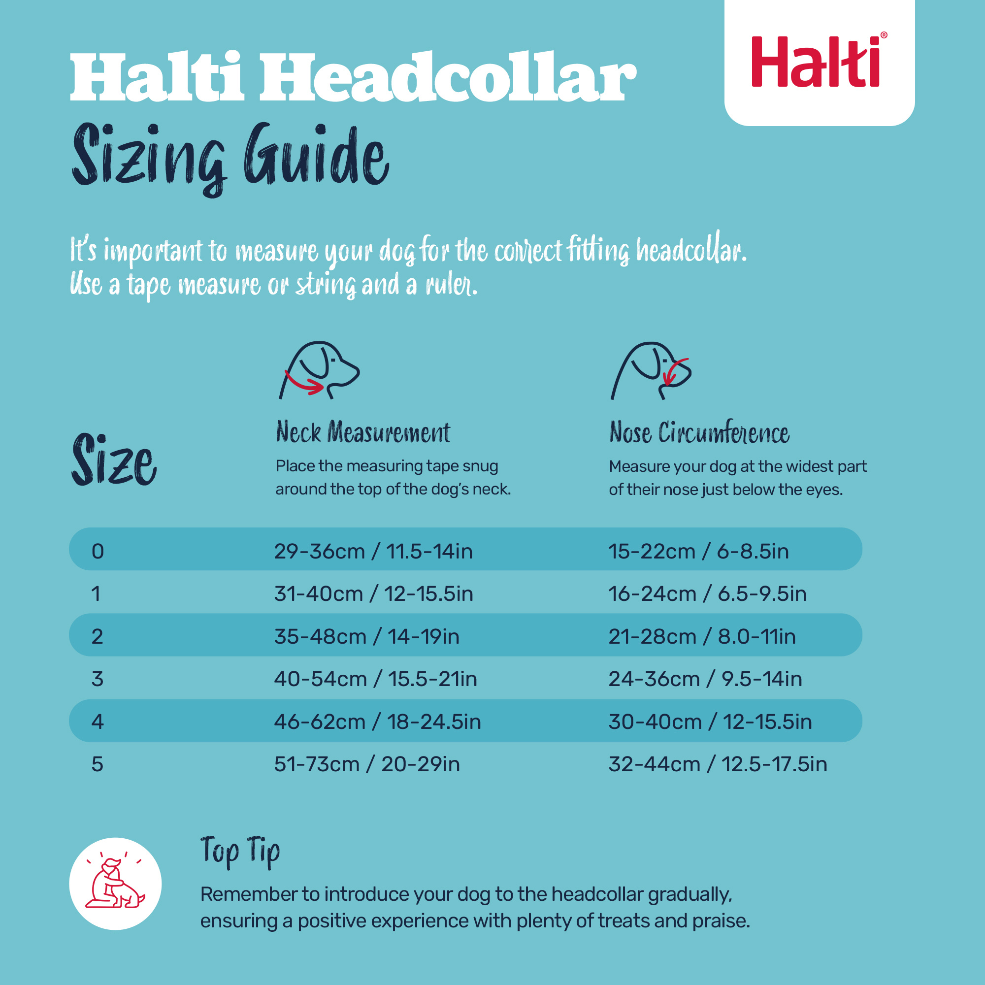 Halti Headcollar Black 