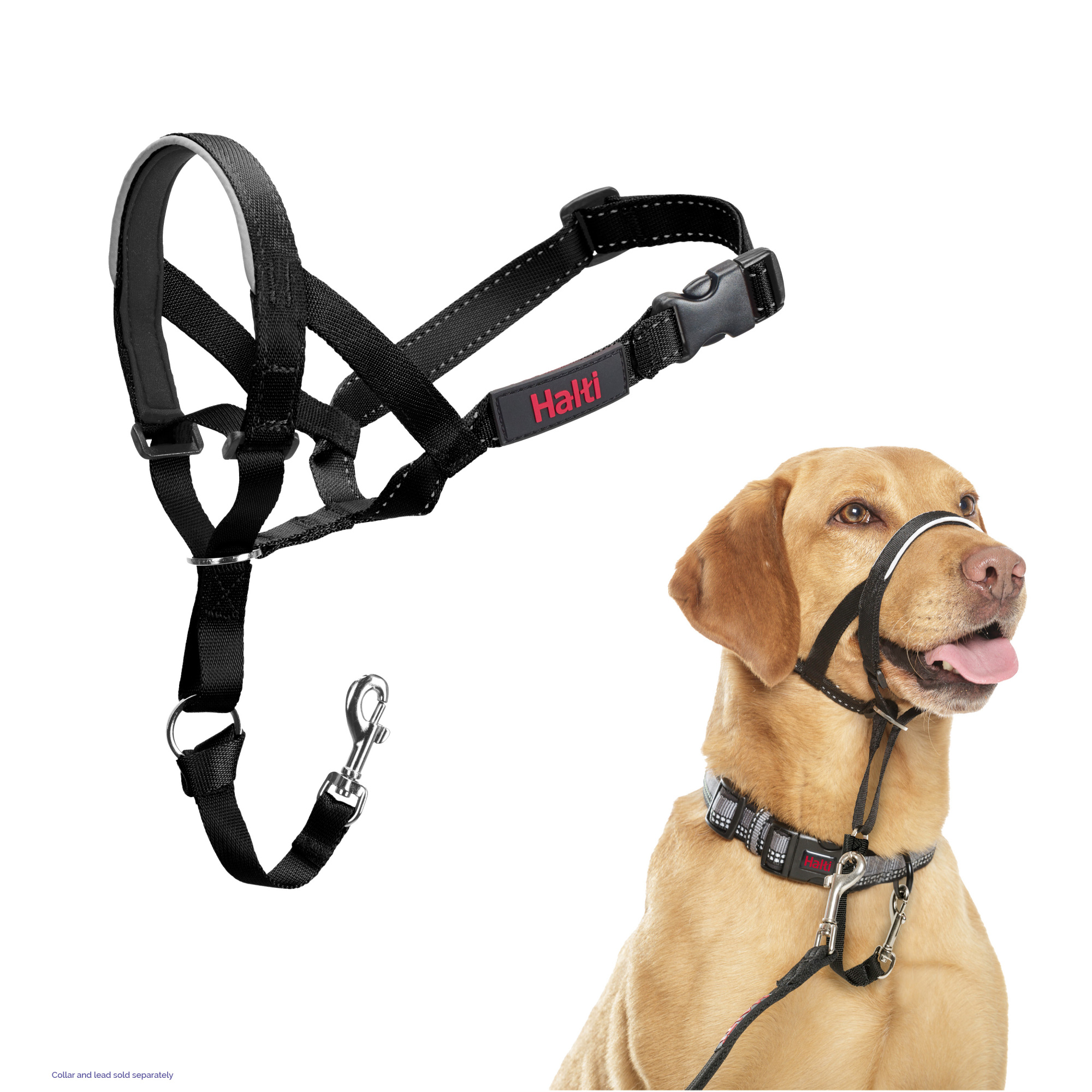 Halti Headcollar Black 