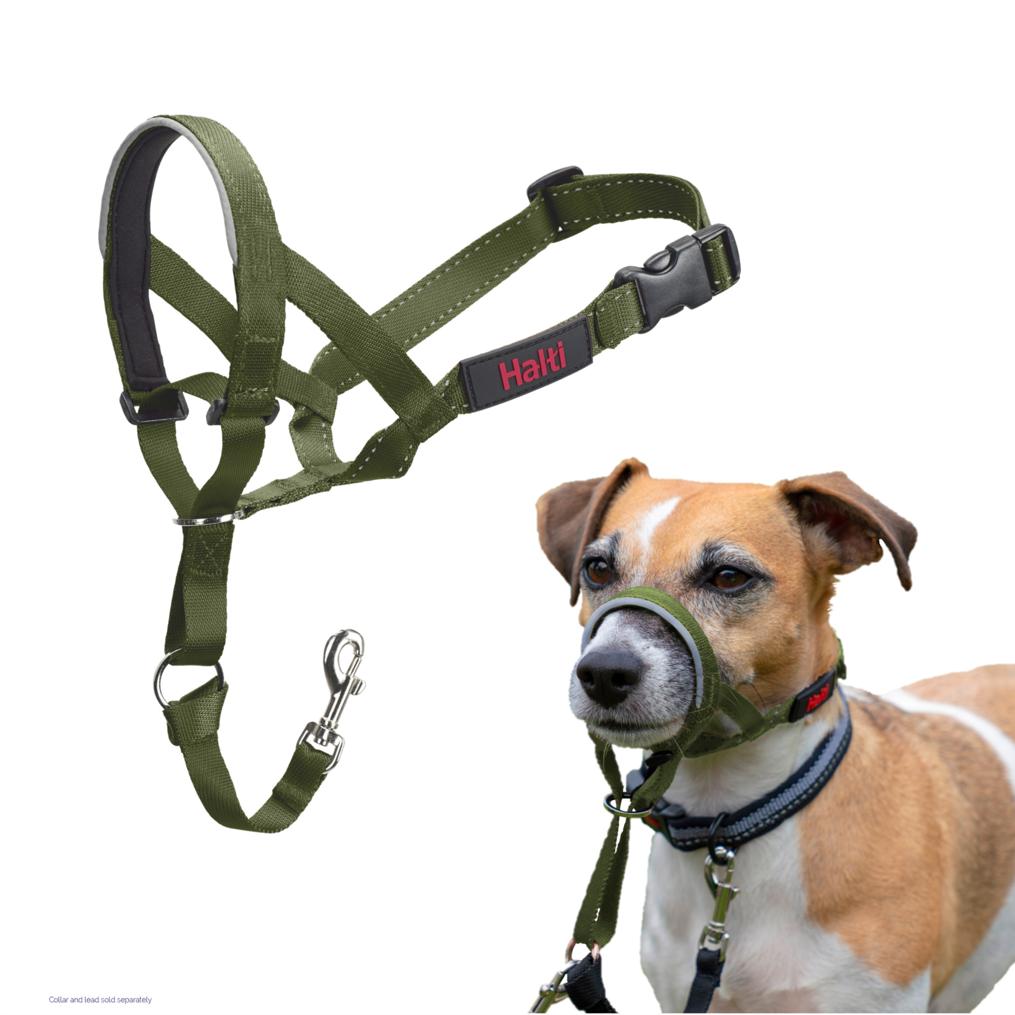 Halti Headcollar Forest Green 