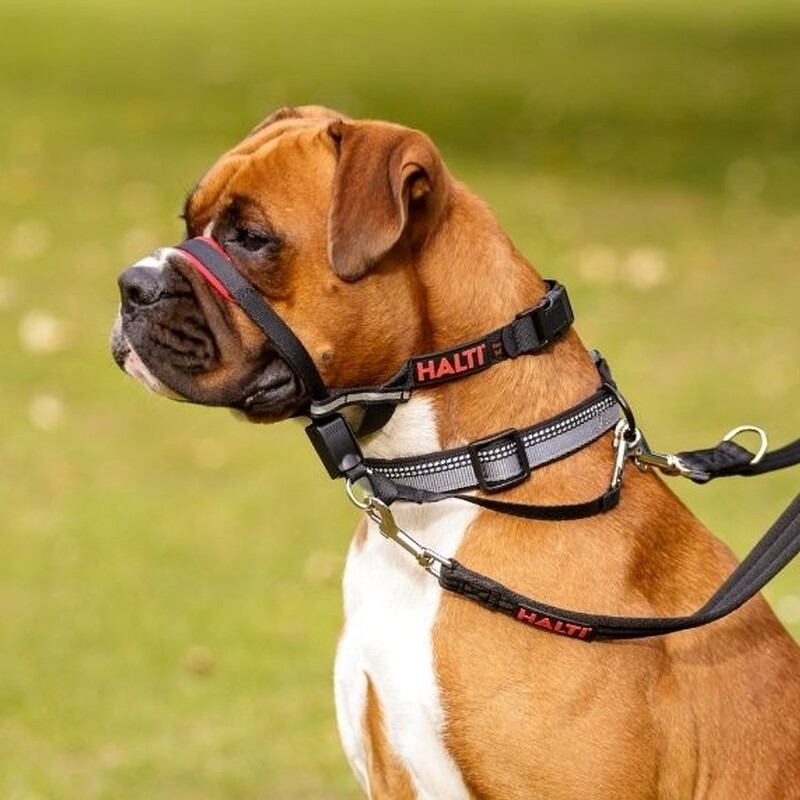 Halti Optifit Headcollar for Dogs