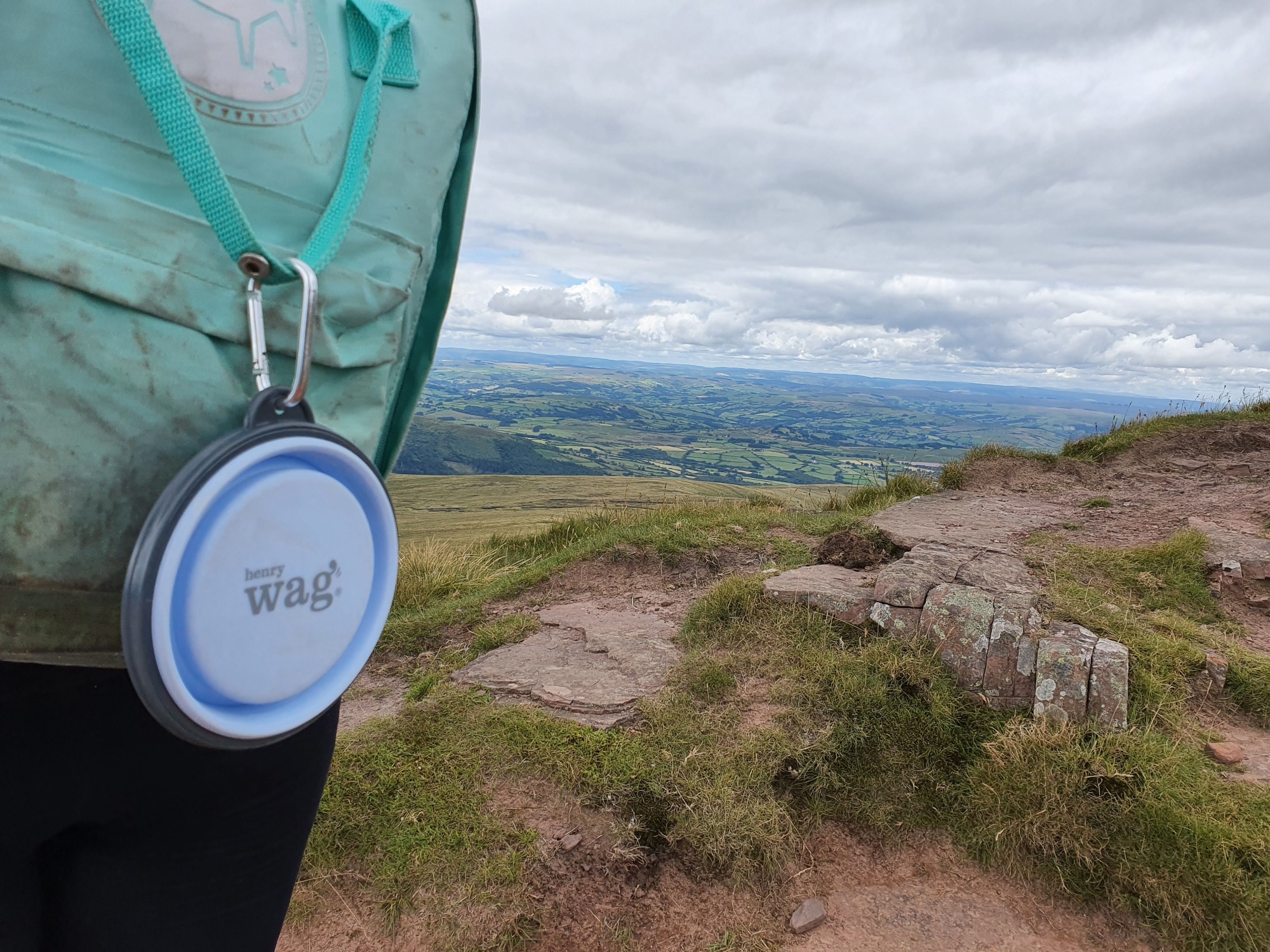 Henry Wag Dog Travel Bowl 