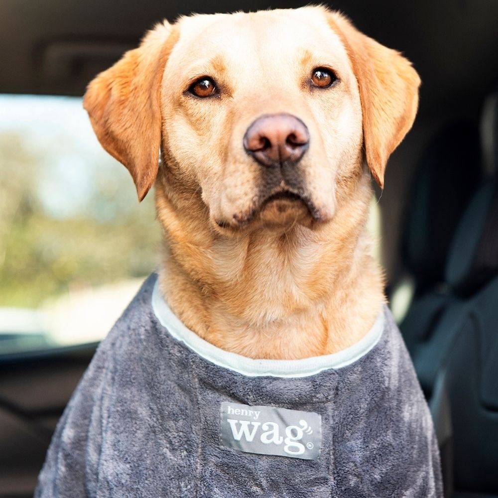 Henry Wag Drying Bag L