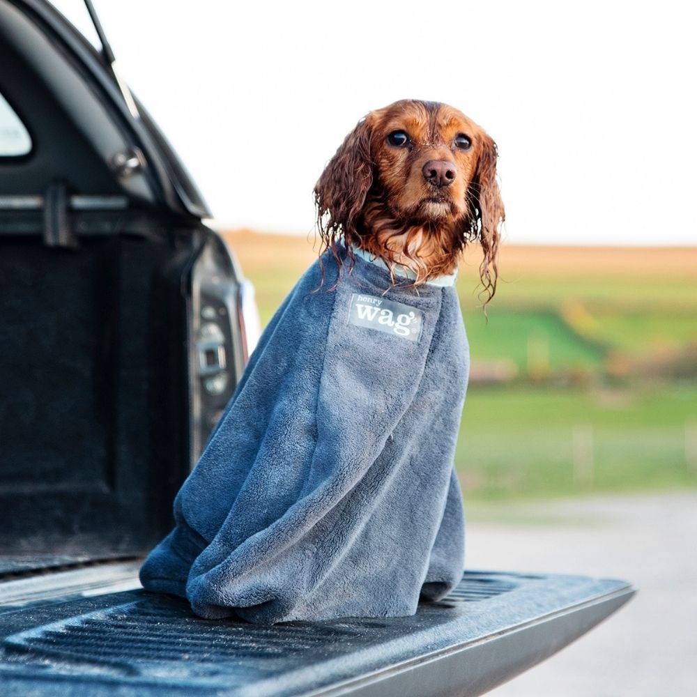 Henry Wag Drying Bag M