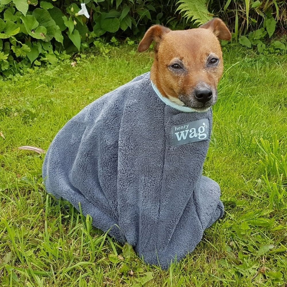 Henry Wag Drying Bag S