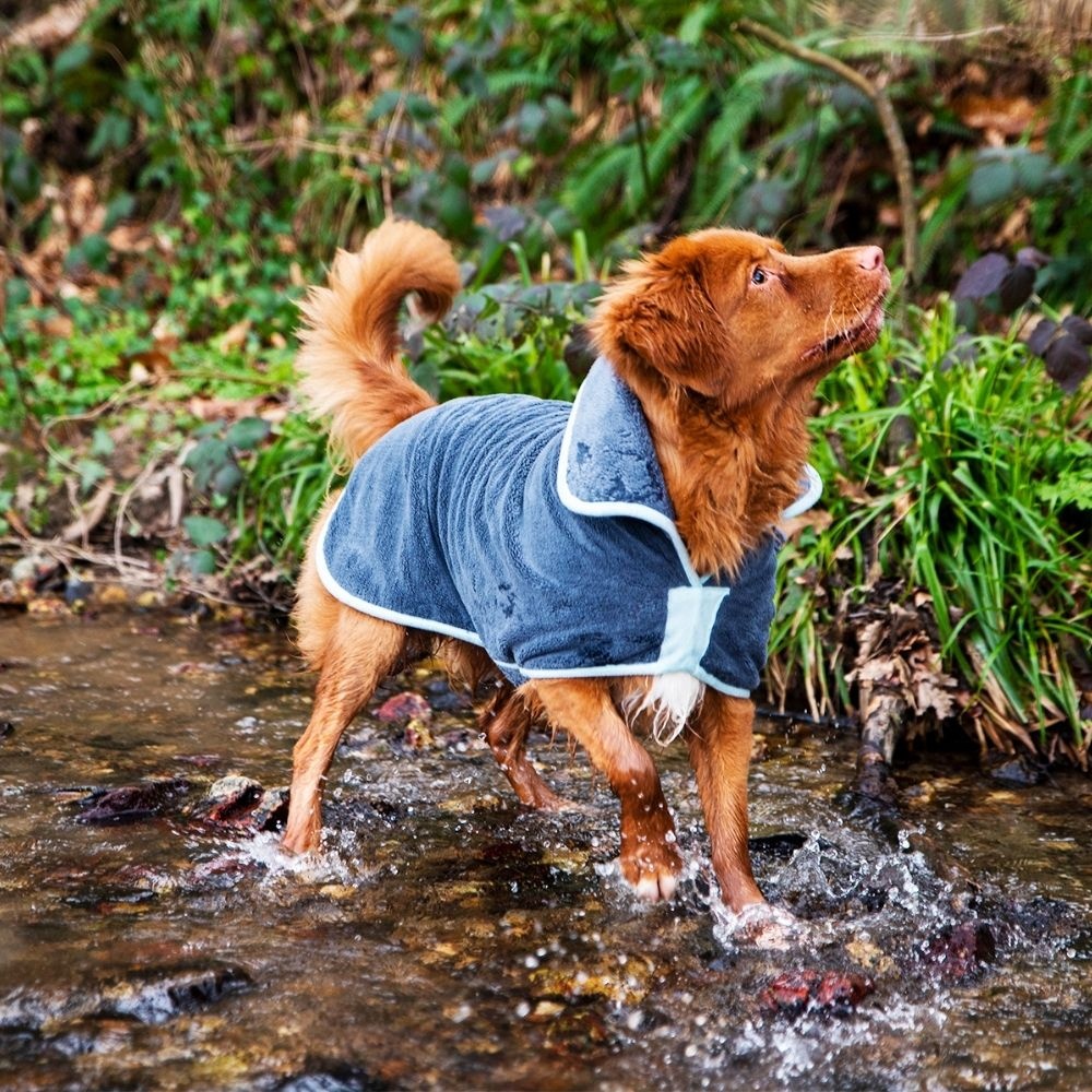 Henry Wag Drying Coat 52cm