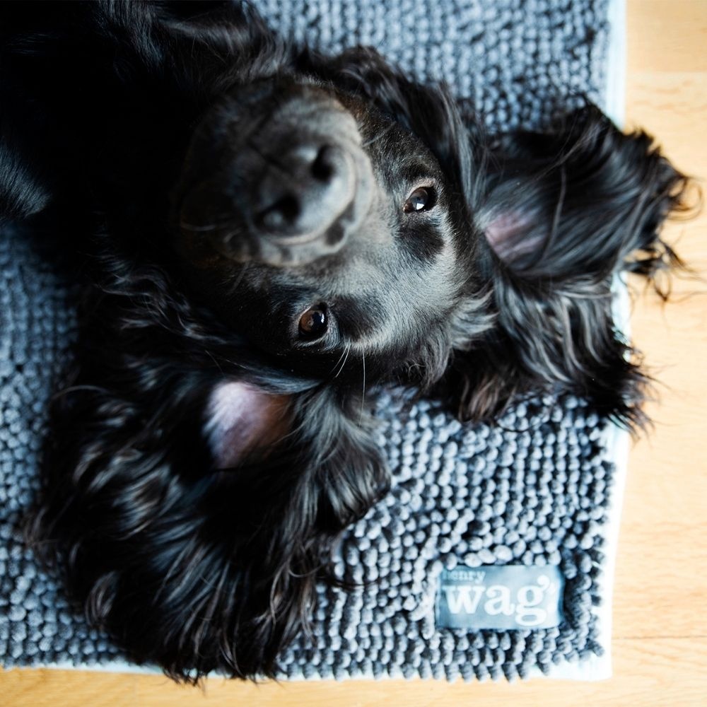 Henry Wag Micro Fibre Noodle Pet Mat Large