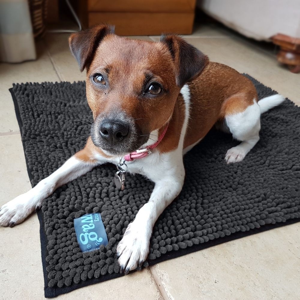 Henry Wag Micro Fibre Noodle Pet Mat Medium