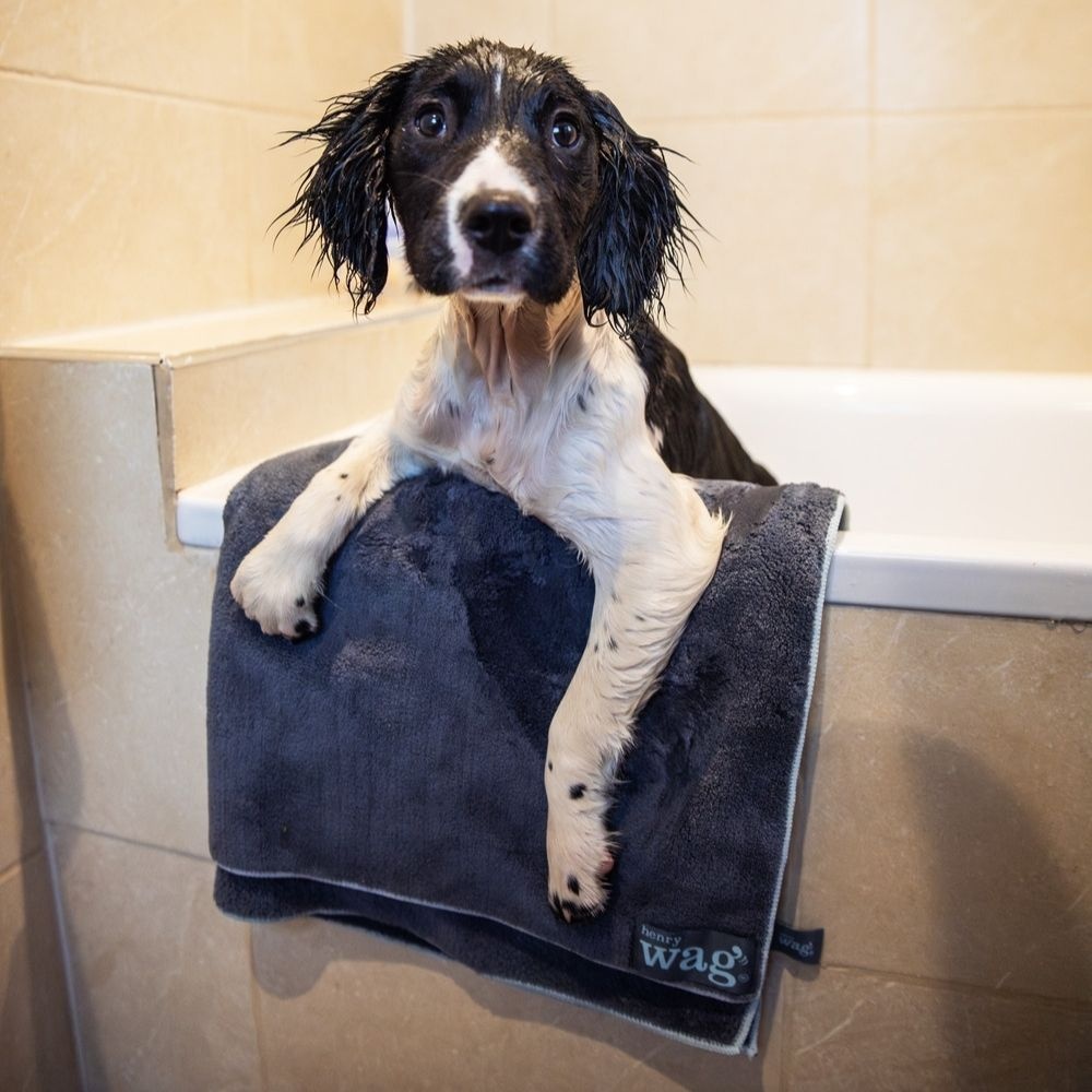 Henry Wag Microfibre Towel Large 150 X 100cm