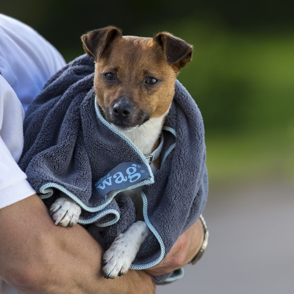 Henry Wag Microfibre Towel Small 100 X 70cm