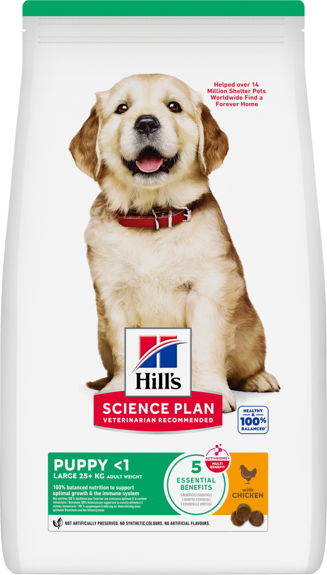 Hill's Science Plan Large Breed Puppy Dry Food 2.5kg