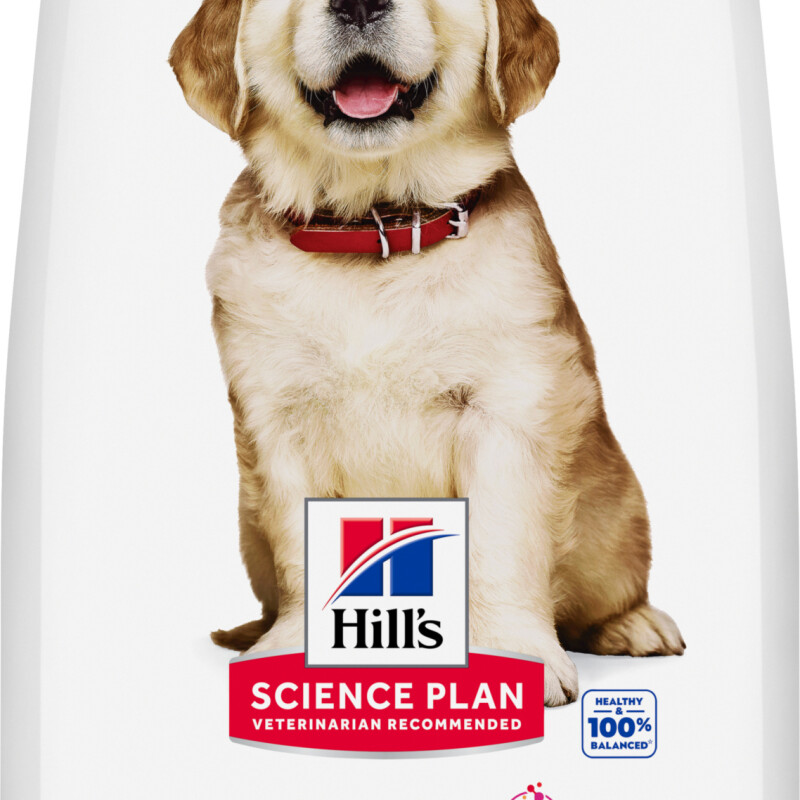 Hill's Science Plan Large Breed Puppy Dry Food 2.5kg
