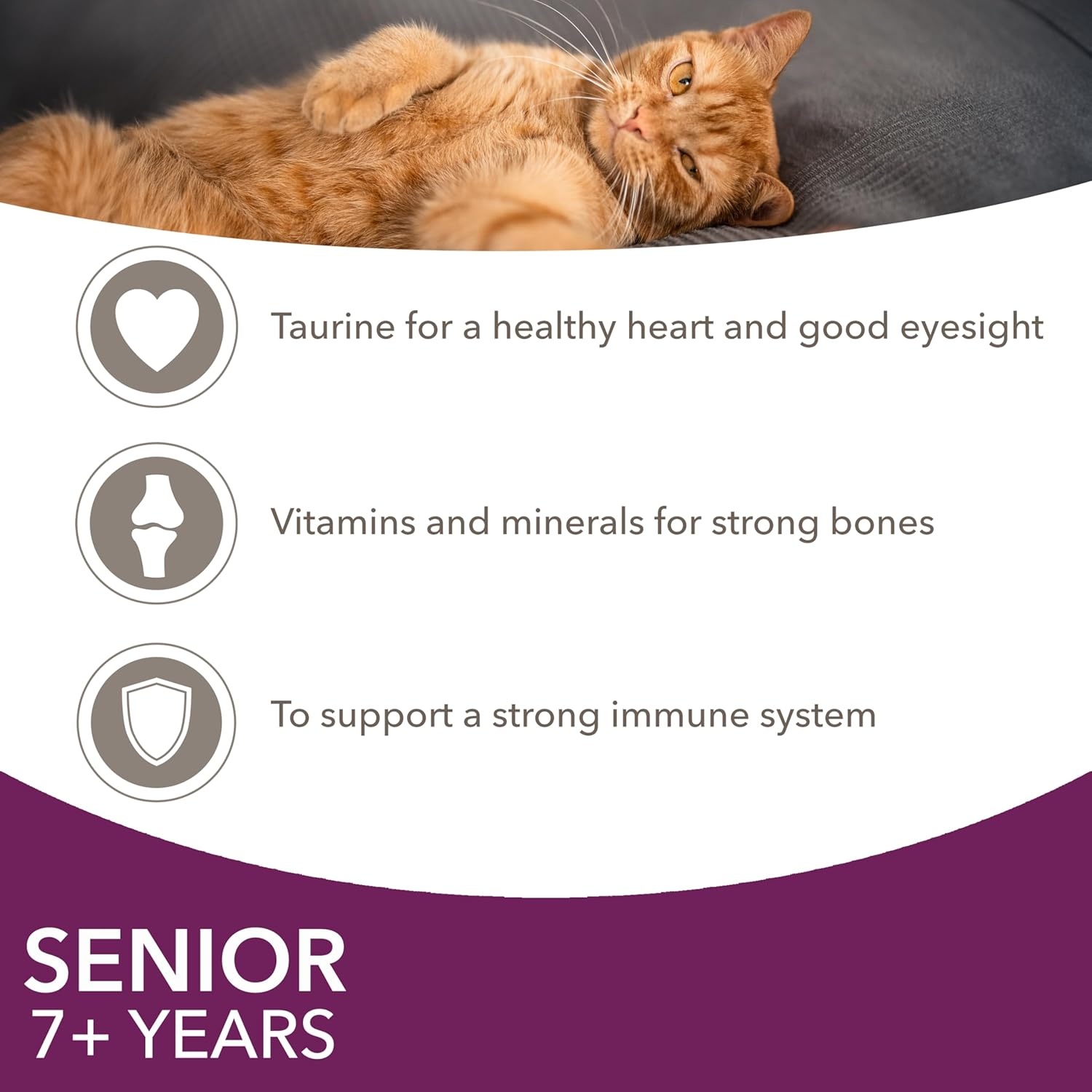IAMS Delights Cat Pouch Senior In Gravy 12 x85g x 2