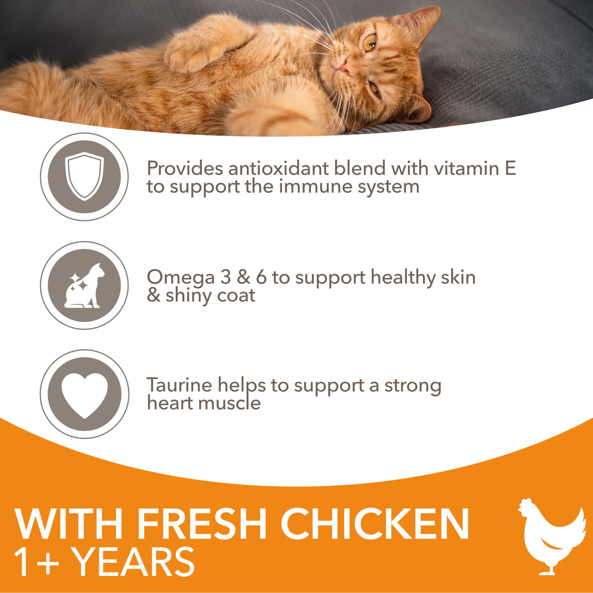 Iams Vitality Kitten With Fresh Chicken 2kg