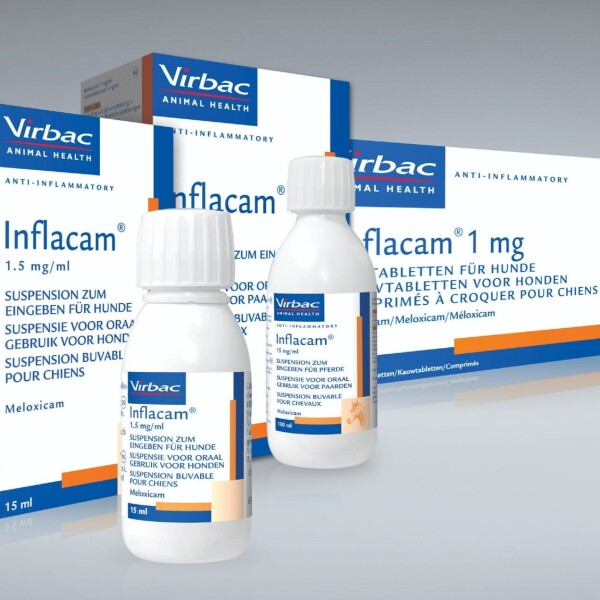 Inflacam Chewable Tablets for Dogs - Main Image