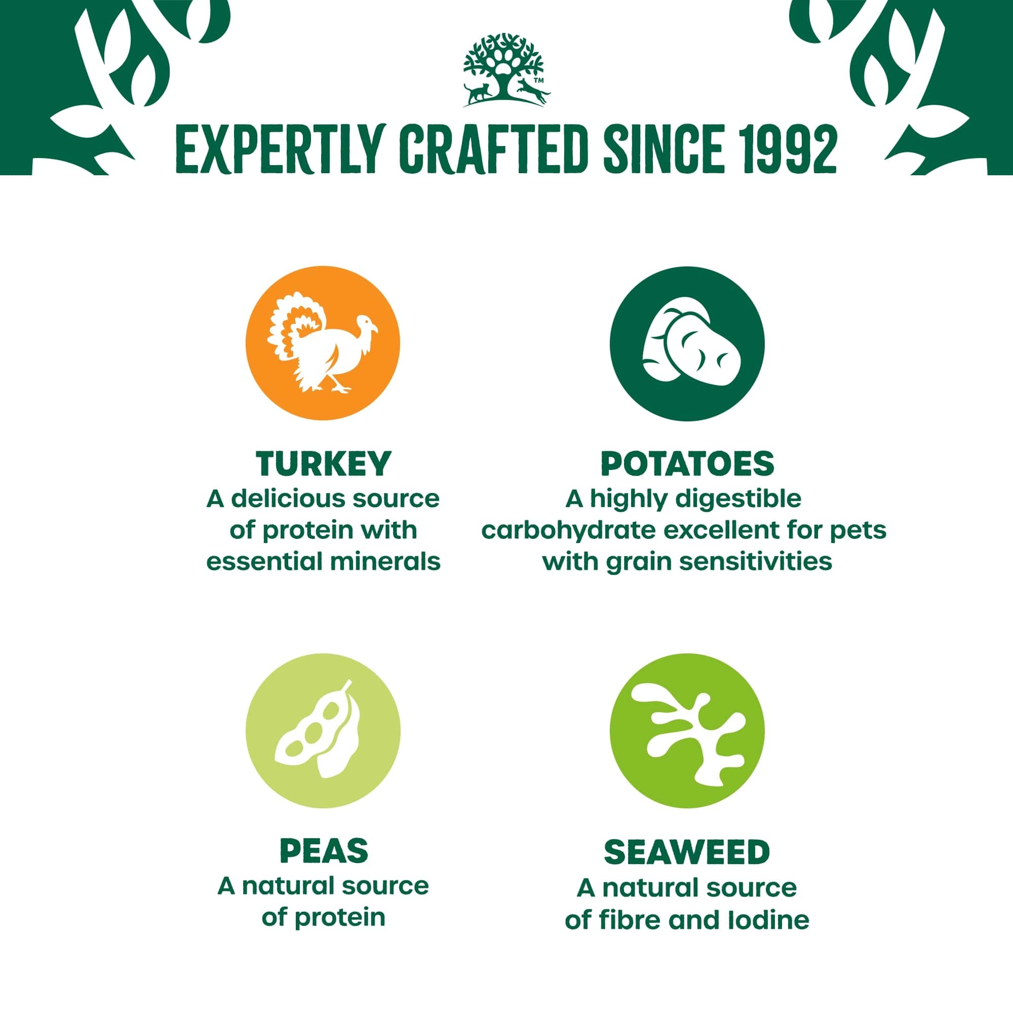 James Wellbeloved Grain Free Adult Wet Dog Food Turkey Gravy Pouch 12x90g
