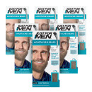  Just For Men Brush-In Facial Hair Colour Light Brown - 6 Pack 