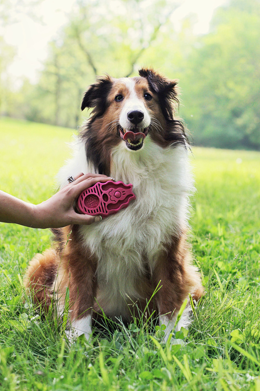 KONG Zoomgroom for Dogs 