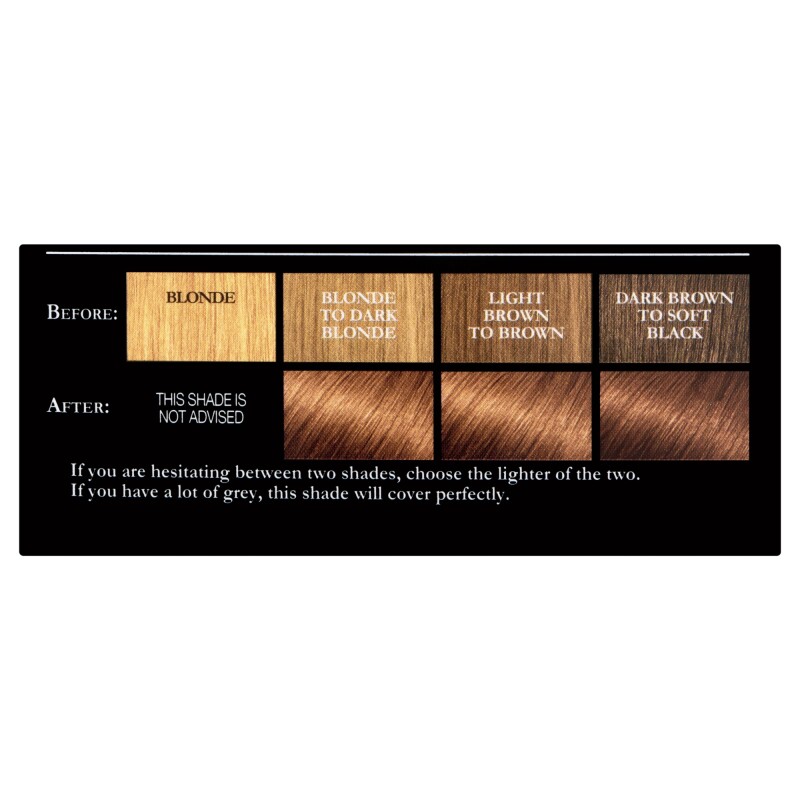 LOreal Paris Preference Hair Colour 5.3 Virginia Chestnut Brown