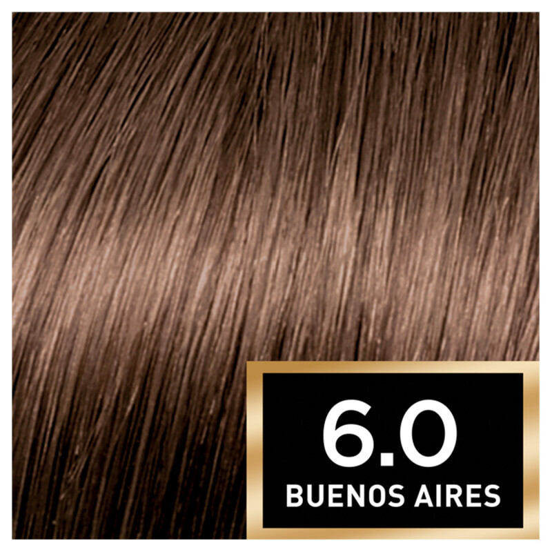 L'Oreal Paris Preference 6.0 Buenos Aires Dark Blonde Hair Dye 1 Kit