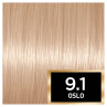 LOreal Paris Preference 9.1 Viking Light Ash Blonde Hair Dye