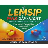 Lemsip Max Day & Night Cold & Flu