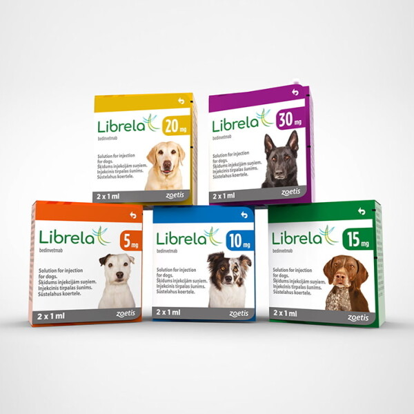 Labrella Injection Dogs Librela Solution for Injection for Dogs