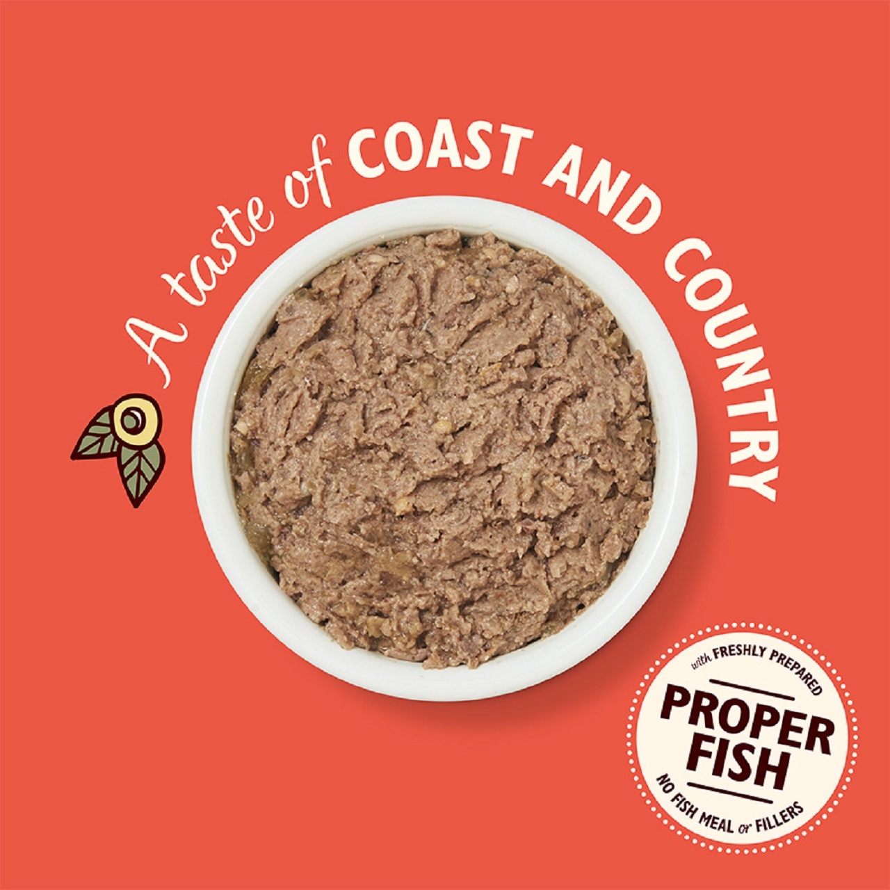 Lily's Kitchen Adult Cat Food Smooth Salmon & Chicken Pate 85g x 19